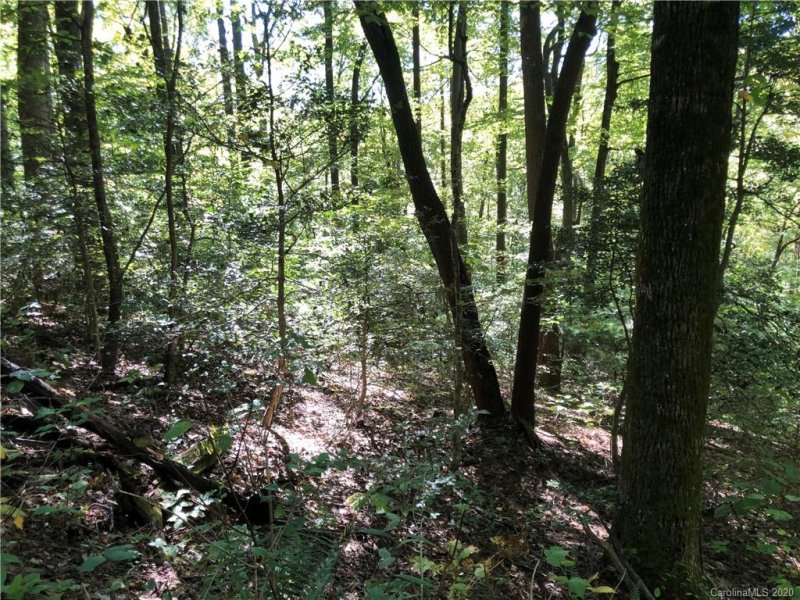 Property image 4 at 1 14 Ac Of Lot 79 Haven Drive, Saluda, NC 28773