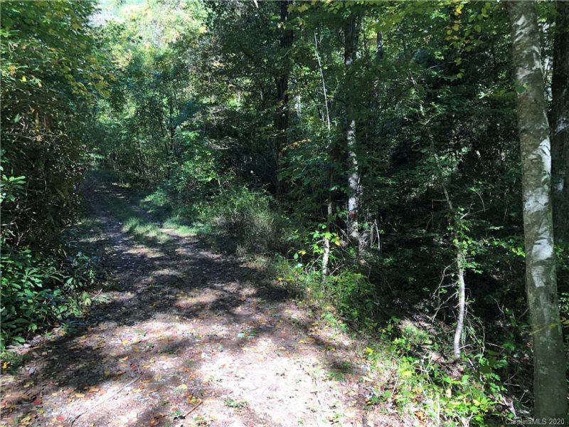 Property image 2 at 1 60 Ac Of Lot 79 Haven Drive, Saluda, NC 28773