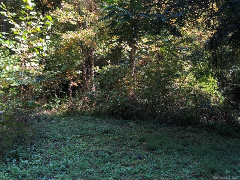 Property image 3 at 1 60 Ac Of Lot 79 Haven Drive, Saluda, NC 28773