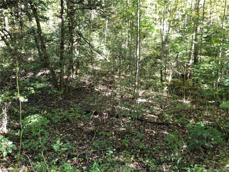 Property image 4 at 1 60 Ac Of Lot 79 Haven Drive, Saluda, NC 28773
