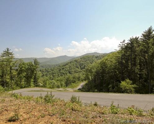 Property image 3 at 90 Bartrams Walk Drive, Asheville, NC 28804