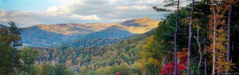 Property image 4 at 90 Bartrams Walk Drive, Asheville, NC 28804