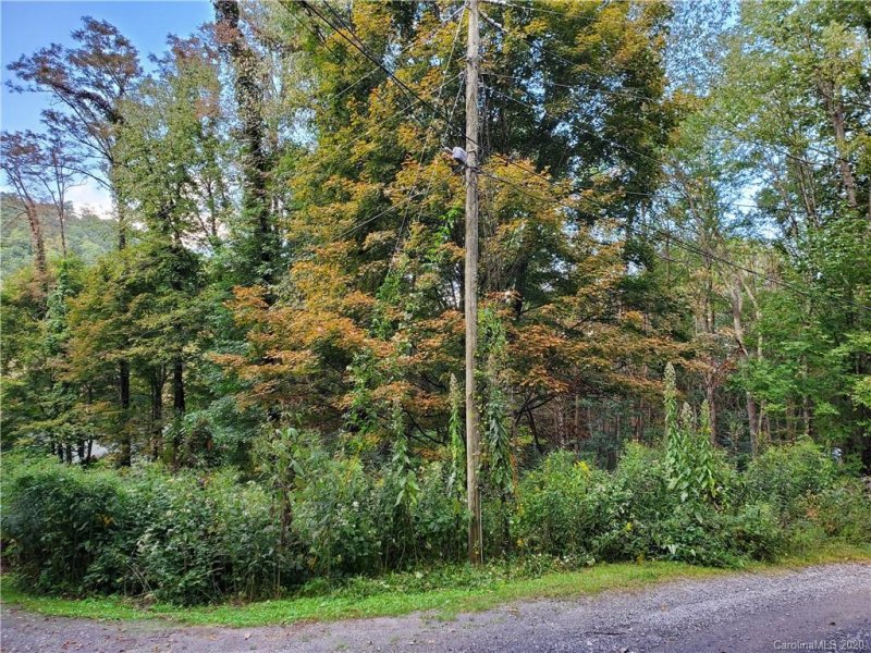 Tbd Burnt Fork Trail