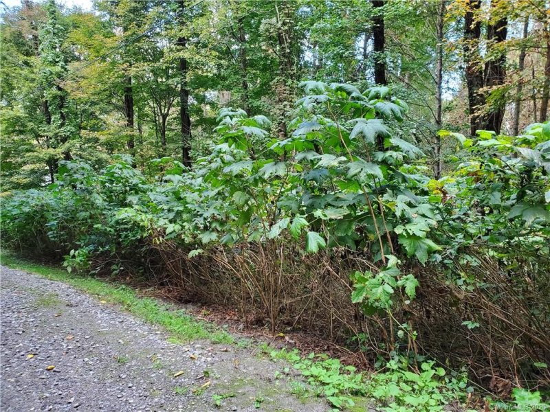 Property image 2 at Tbd Burnt Fork Trail, Waynesville, NC 28786