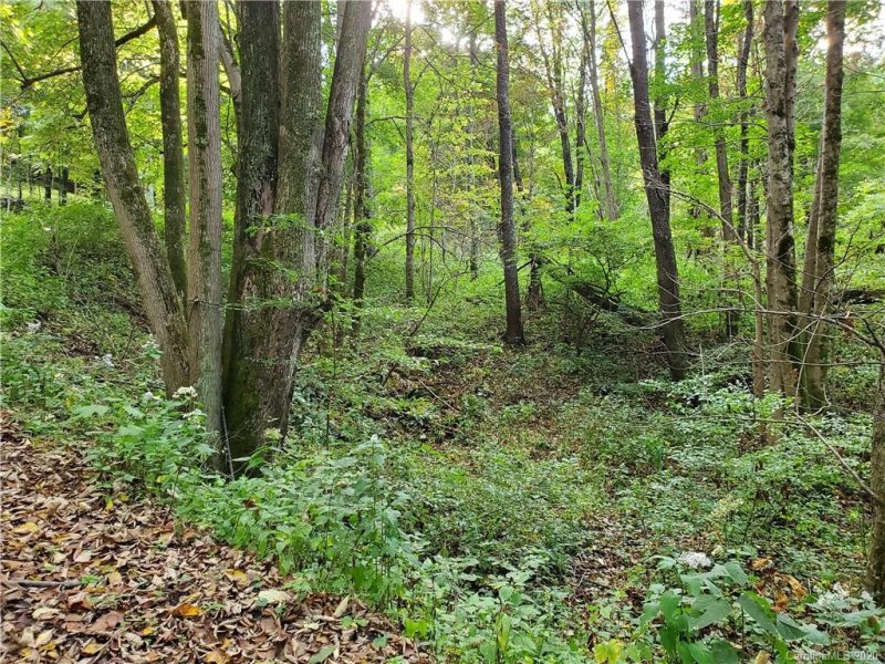 Property image 4 at Tbd Burnt Fork Trail, Waynesville, NC 28786