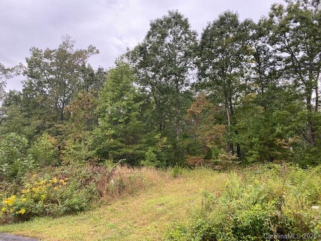 Property image 4 at 0000 Brookside Parkway, Lake Lure, NC 28746