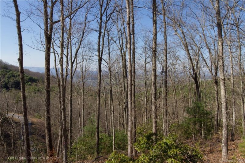 Property image 4 at 30 Pitch Pine Drive, Leicester, NC 28748