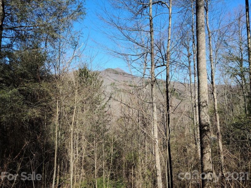 Property image 2 at 000 Harleys Cove Road, Waynesville, NC 28785