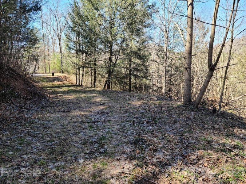 Property image 3 at 000 Harleys Cove Road, Waynesville, NC 28785