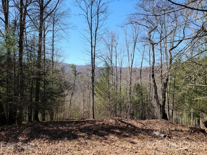 Property image 2 at 000 Harleys Cove Road, Waynesville, NC 28785