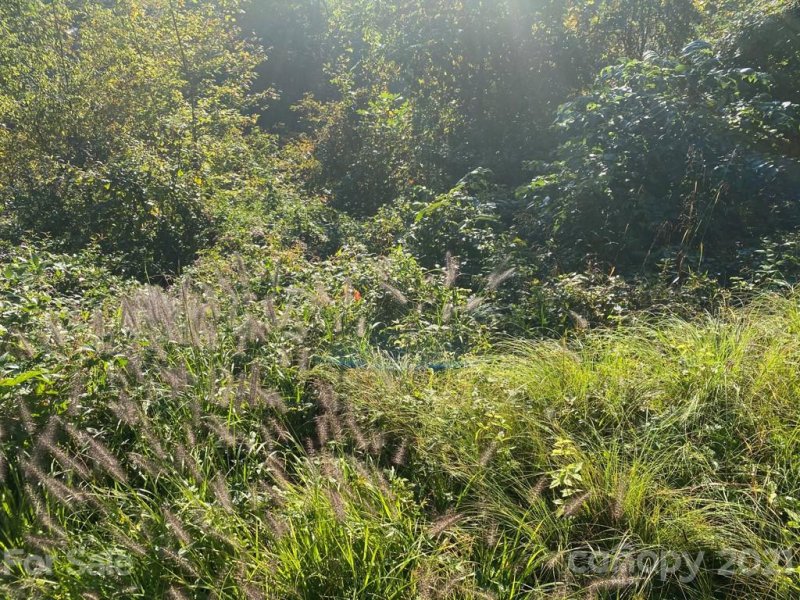 Property image 4 at 200 Hawks Crest Drive, Waynesville, NC 28786