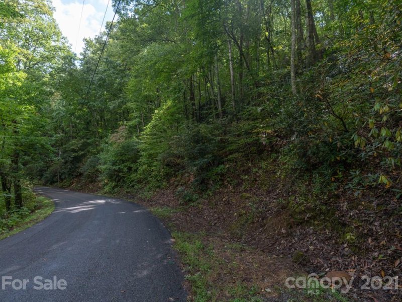 Property image 2 at 00 Wildflower Cove Road, Swannanoa, NC 28778