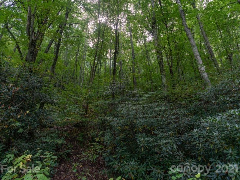 Property image 4 at 00 Wildflower Cove Road, Swannanoa, NC 28778