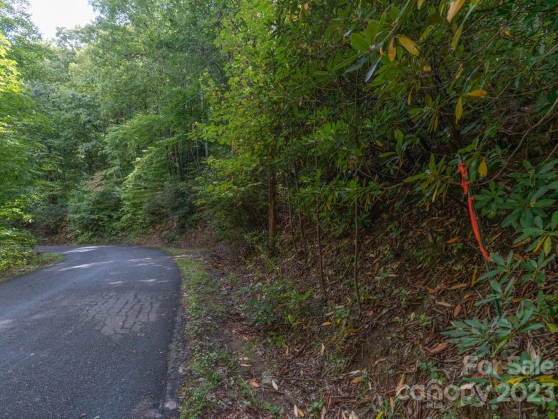 Property image 3 at 00 Frazier Magnolia Trail, Swannanoa, NC 28778