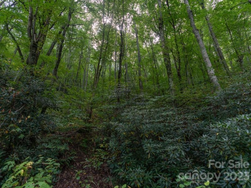 Property image 5 at 00 Frazier Magnolia Trail, Swannanoa, NC 28778