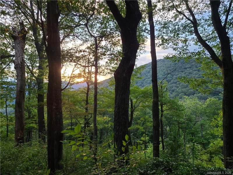 Property image 3 at 14 Majestic Overlook Way, Candler, NC 28715