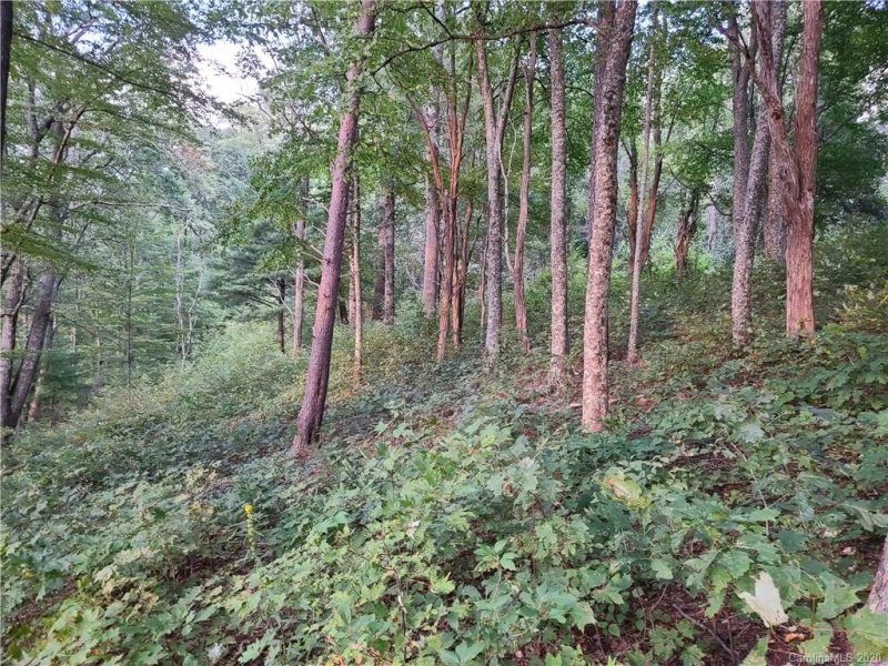 Property image 4 at 14 Majestic Overlook Way, Candler, NC 28715