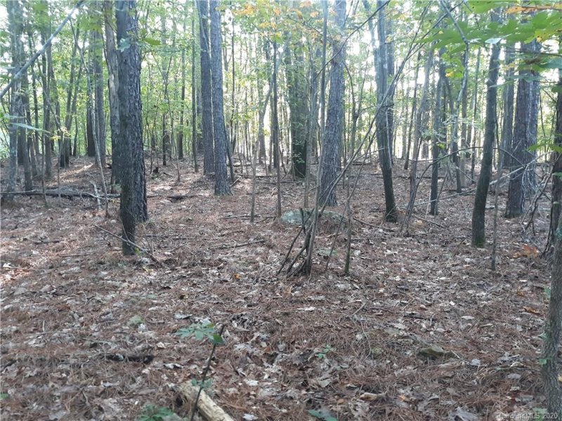 Property image 2 at 790 Crystal Bay Drive, Denton, NC 27239