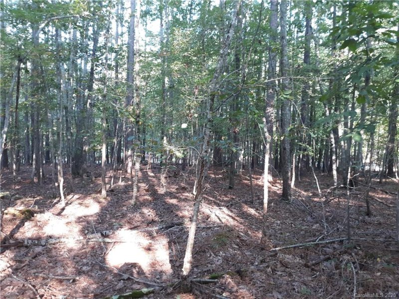 Property image 3 at 790 Crystal Bay Drive, Denton, NC 27239