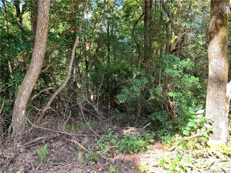 Lot 12 Long Ridge Lane