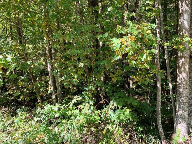 Property image 4 at Lot 12 Long Ridge Lane, Rosman, NC 28772