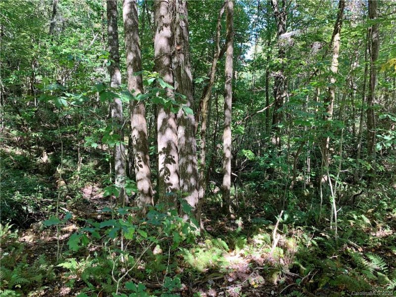 Property image 2 at Lot 15 Eastatoe Gap Road, Rosman, NC 28772