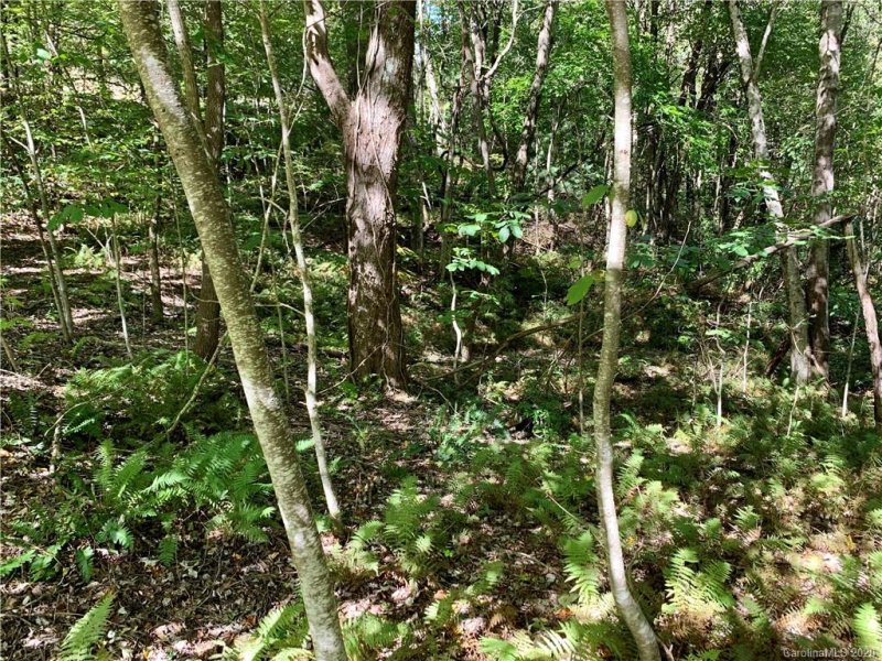 Property image 5 at Lot 15 Eastatoe Gap Road, Rosman, NC 28772