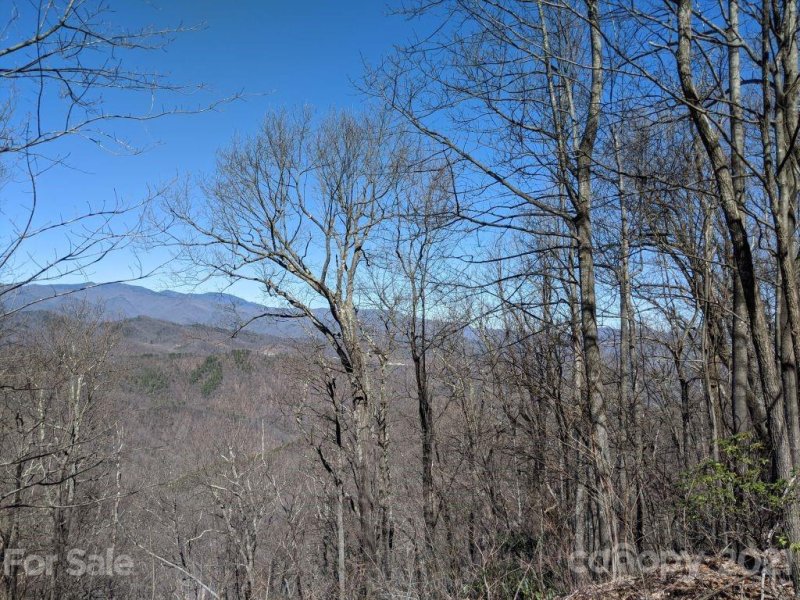 Property image 2 at Lot T 66 23 Ninebark Lane, Black Mountain, NC 28711