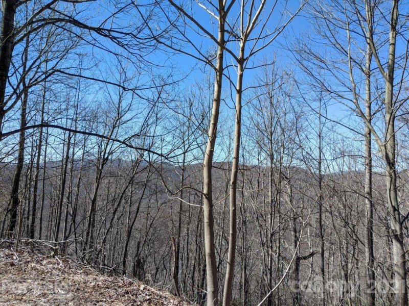 Property image 3 at Lot T 66 23 Ninebark Lane, Black Mountain, NC 28711