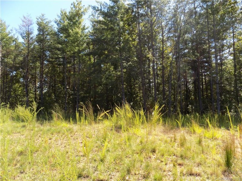 Property image 3 at 1283 Saylor Way, Nebo, NC 28761