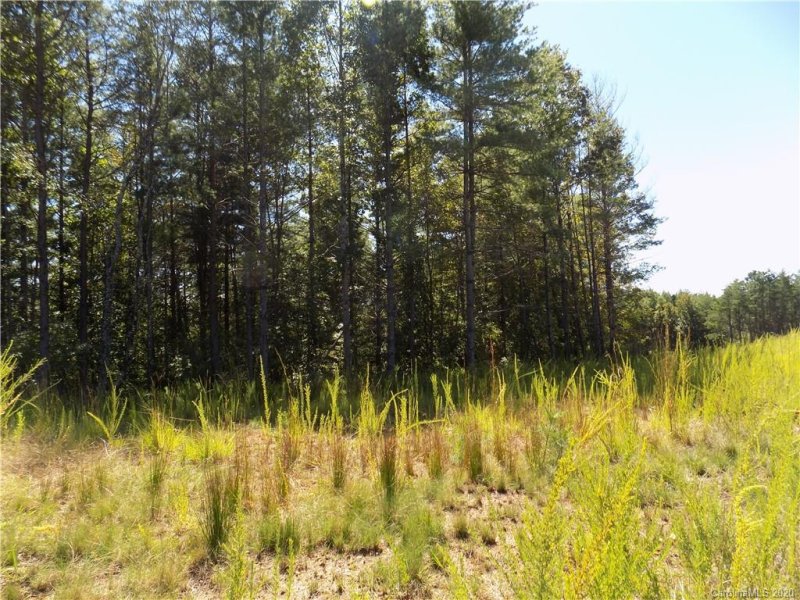 Property image 4 at 1283 Saylor Way, Nebo, NC 28761