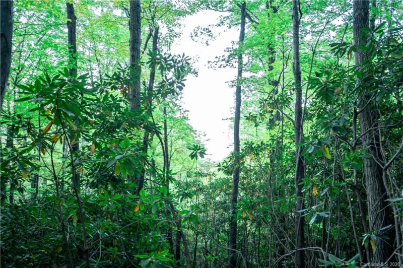 Property image 3 at 1250 Arborcrest Way, Swannanoa, NC 28778