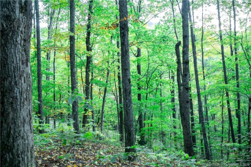 Property image 4 at 1250 Arborcrest Way, Swannanoa, NC 28778