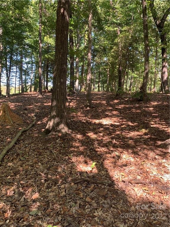 Property image 5 of Lot 9r Eagle Pointe Drive in Eagle Pointe, Norwood, NC 28128