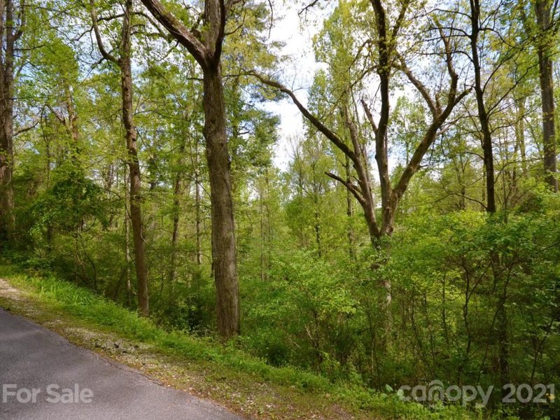 Property image 3 at Lot 2 Ransier Drive, Hendersonville, NC 28739