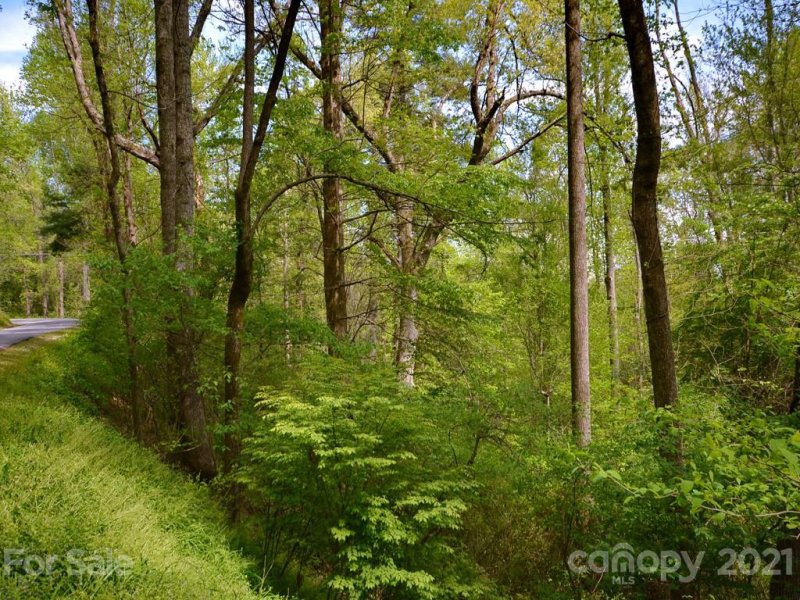 Property image 5 at Lot 2 Ransier Drive, Hendersonville, NC 28739