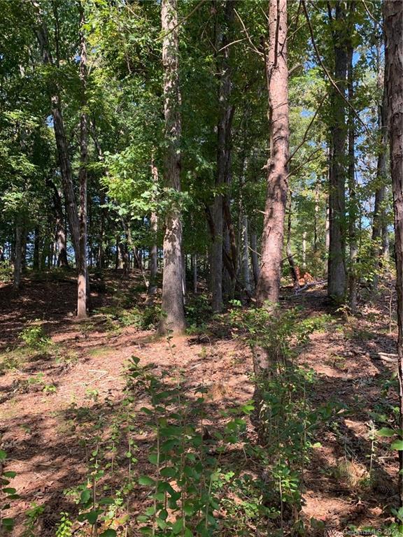 Property image 4 at Lot 10r Eagle Pointe Drive, Norwood, NC 28128