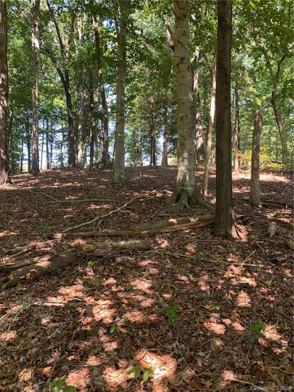 Property image 5 at Lot 10r Eagle Pointe Drive, Norwood, NC 28128