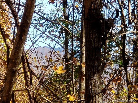 Qq Bear Springs Road