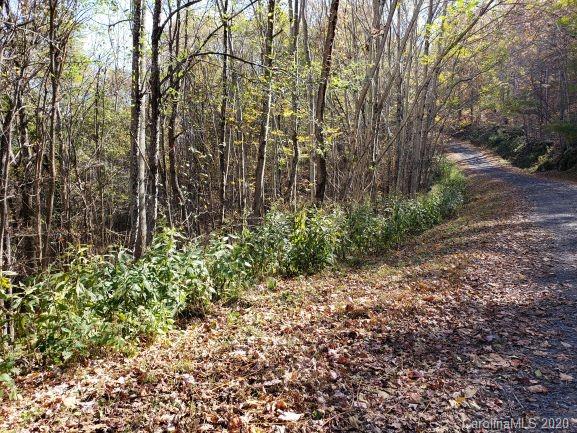 Property image 2 at Qq Bear Springs Road, Bakersville, NC 28705