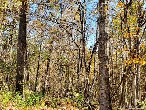 Property image 3 at Qq Bear Springs Road, Bakersville, NC 28705