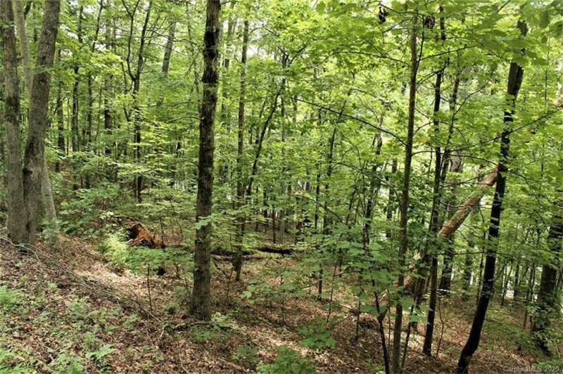 Property image 2 at 00 Lakeview Trail, Bryson City, NC 28713