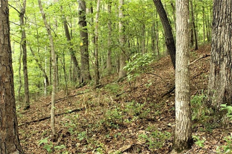 Property image 3 at 00 Lakeview Trail, Bryson City, NC 28713