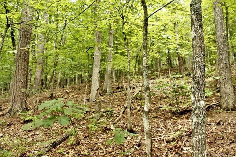 Property image 5 at 00 Lakeview Trail, Bryson City, NC 28713