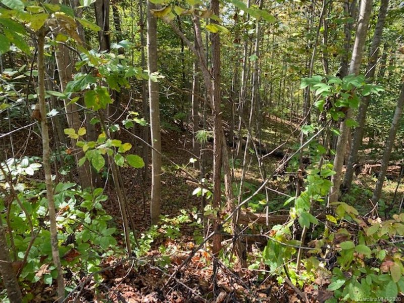 Property image 5 at Lots 134 135 Cross Ridge Drive, Rutherfordton, NC 28139