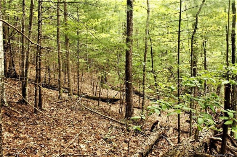 Property image 2 at Lot 26 3 Tsali Point, Bryson City, NC 28713