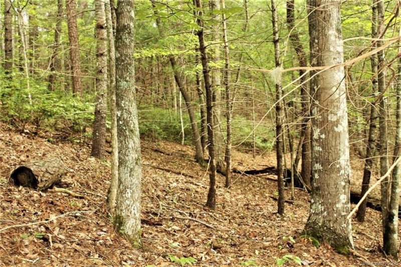 Property image 4 at Lot 26 3 Tsali Point, Bryson City, NC 28713