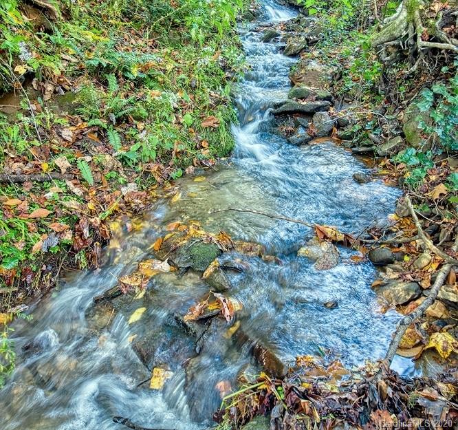 Property image 3 at 311 Riddle Cove Road, Maggie Valley, NC 28751