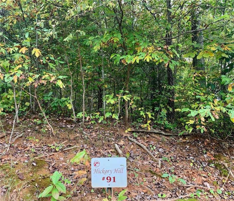 Property image 2 at Lot 91 Denman Drive, Lake Junaluska, NC 28745