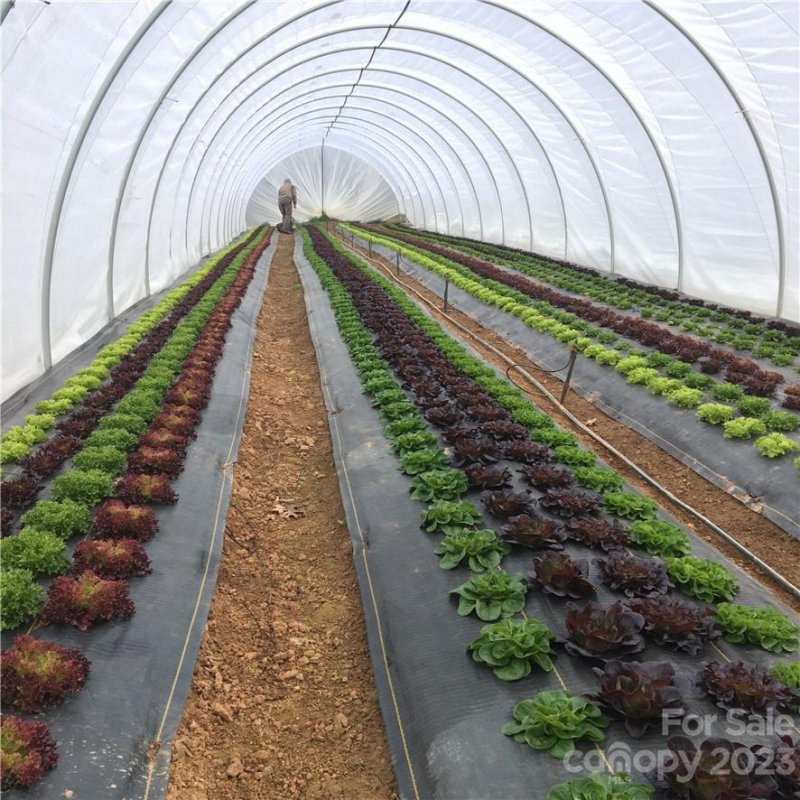 Property image 2 at 134 Old Macedonia Road, Asheville, NC 28701